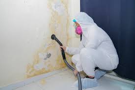 Best Water Damage & Mold Remediation  in Champaign, IL